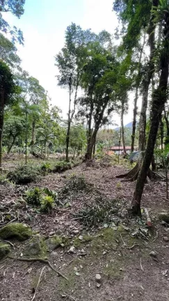 Imagem Chácara com casa de 3 dormitórios sendo 2 suítes e 8 vagas - Quiriri | Joinville/SC