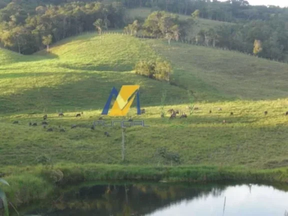 Imagem Vendo Terreno em Suzano - SP