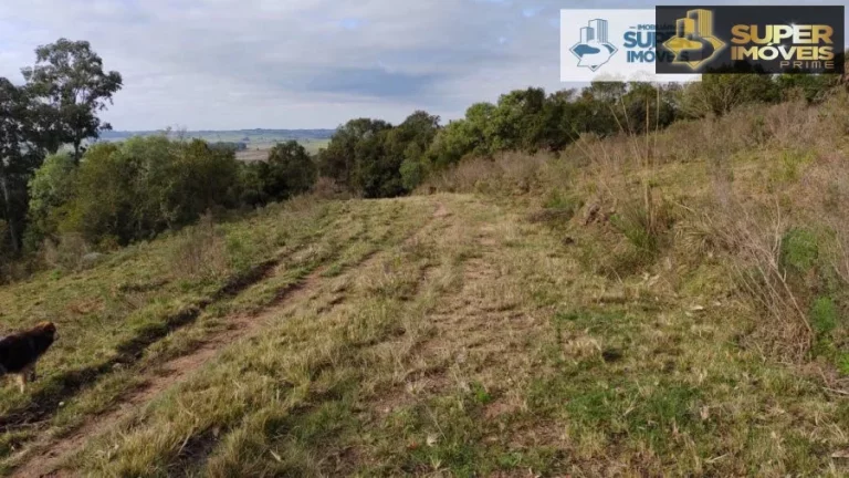 Imagem Fazenda para Venda em Canguçu-RS