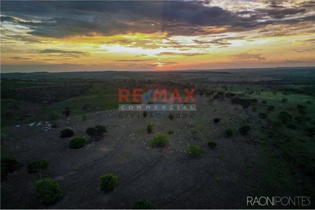 Imagem Fazenda à Venda, 45.340.000 m² em Centro - Figueirão - Figueirão