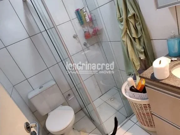 Imagem Apartamento à venda, Nossa Senhora de Lourdes, Londrina, PR