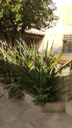 Imagem Casa com 4 Quartos à Venda, 280 m² em Santa Rosa - Sarzedo