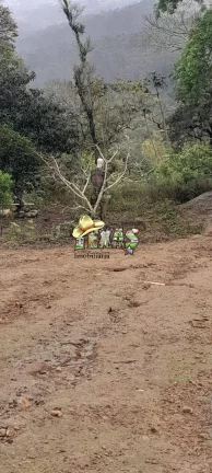 Imagem Chácara em Suzano