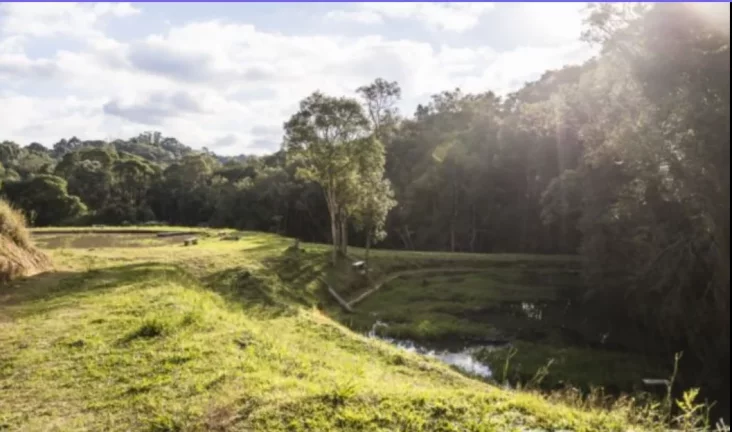 Imagem Fazenda para Venda - Roça Velha