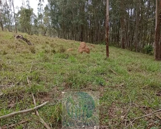 Imagem Sítio 20 ha ou 8,26 alq. a venda, para café, gado Jacui Sul de Minas Gerais