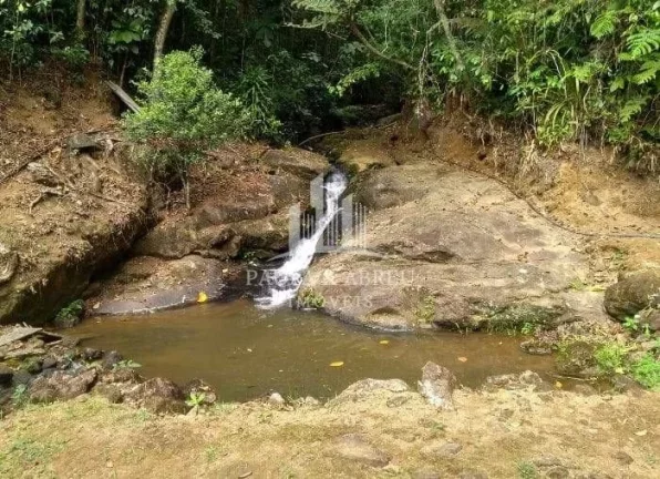 Imagem Chácara 13.000m², 6.000 Limpo, 2 Dorms 1 Suíte, Cachoeira pequena, Lago com peixe, Murada, Baia, Canil, 100 pés de Banana em Santa Rita do Ribeira, Miracatu-SP