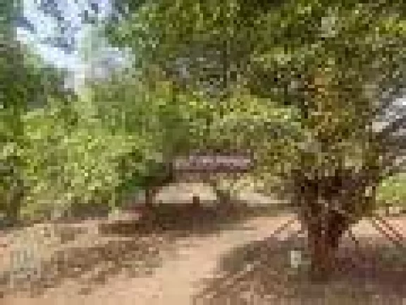 Imagem Terreno à venda, 1400 m² por R$ 6.300.000,00 - Gopoúva - Guarulhos/SP