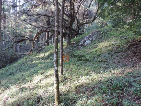 Imagem Sítio com 2 dormitórios à venda, 1000000 m² por R$ 28.000.000,00 - Dos Marmelos - Campos do Jordão/SP