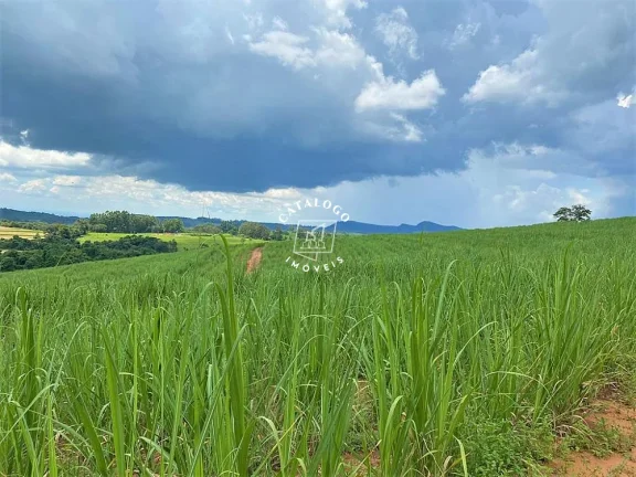 Imagem Sítio a Venda no bairro Centro - Cássia dos Coqueiros, SP