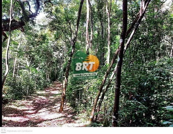 Imagem Sítio para Venda em São Roque, Marmeleiro, 5 dormitórios, 2 suítes, 1 banheiro, 4 vagas