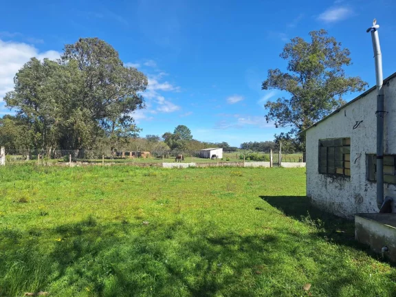 Imagem Excelente Sítio à Venda – 12.580m² – Próximo à Vila de Itapuã, Viamão/RS.
