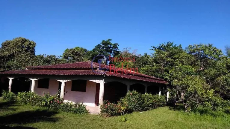 Imagem Imóveis Belém vende casa em Vigia Imagem Imóveis Belém vende casa em Vigia