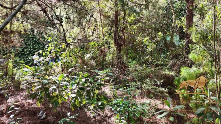Imagem Terreno a venda em Campos do Jordão