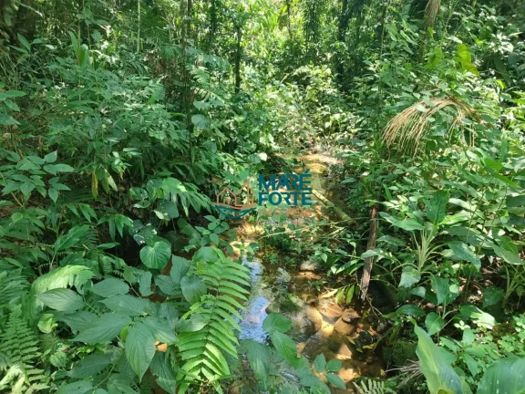 Imagem AREA DE FRENTE PARA A RODOVIA OSWALDO CRUZ (6 KM DO CENTRO)