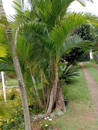 Imagem Chácara à venda em Campinas, Recanto dos Dourados, com 2 quartos, 150m2