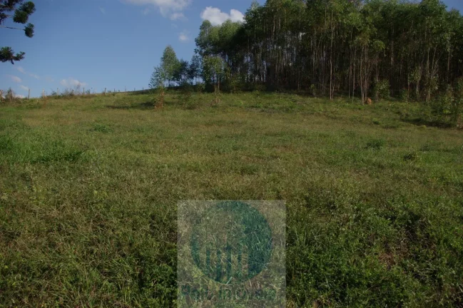 Imagem Sítio 13,5 alqueires R$ 150.000 valor do alqueire, excelente estrutura, planta milho, soja, tem 2.000 pés de mexerica - Jacuí - Minas Gerais