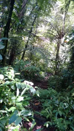 Imagem Terreno 30.000m² à Venda na Praia de Maresias - São Sebastião SP.