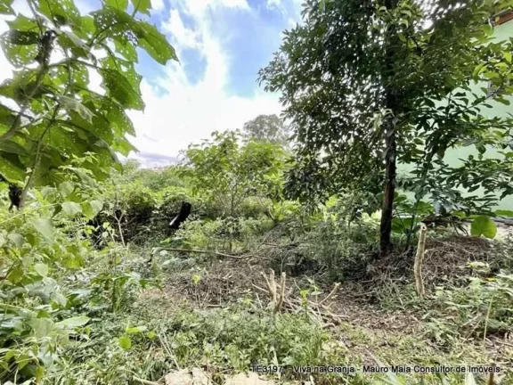 Imagem Lote Bolsão FECHADO no Miolo da Granja Viana!