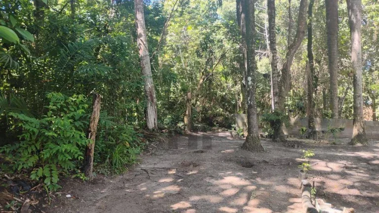 Imagem Terreno de 10.700m² à venda, localizado em Enseada dos Corais, Cabo de Santo Agostinho - Pernambuco.