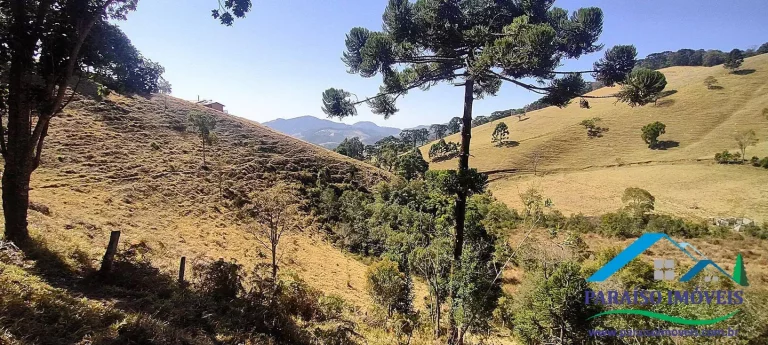 Imagem Conecte-se à Natureza: Terreno Rural com Nascente e Vista Panorâmica!