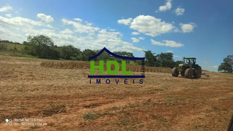 Imagem 28 alqs com 24,5 alqs em Soja.