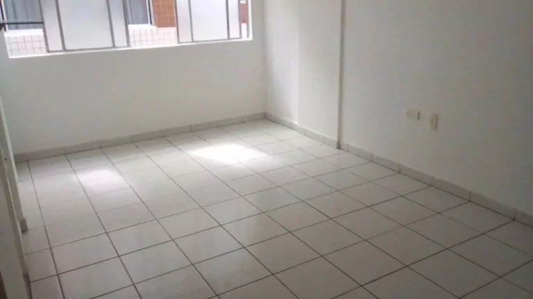 Apartamento de 51m² à venda, com 1 quarto, localizado na Boa Vista, Recife - Pernambuco.