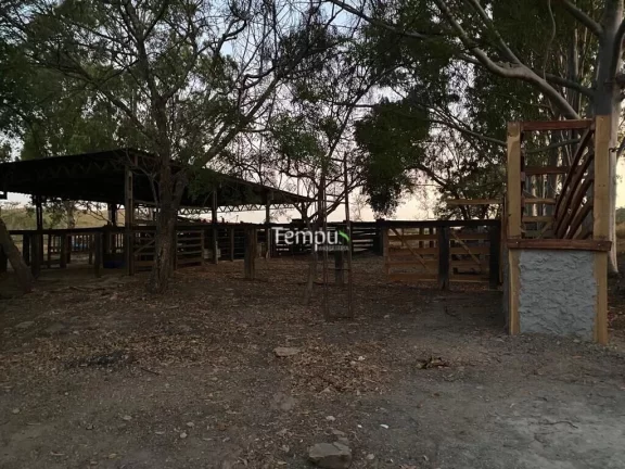Imagem Fazenda zona Rural São Miguel do Passa Quatro, 175 ha, - GO, 36,1 Alqueires