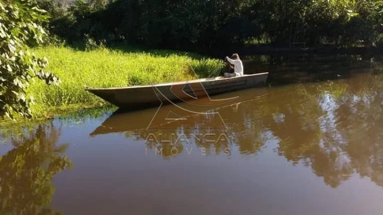 Imagem Sítio - Pedregulho - Zona Rural