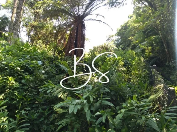 Imagem CHACARA RURAL em IGREJINHA - RS, Serra Grande