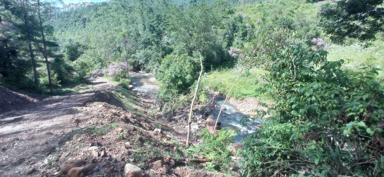 Imagem Área rural à venda em Santa Rosa de Lima/SC
