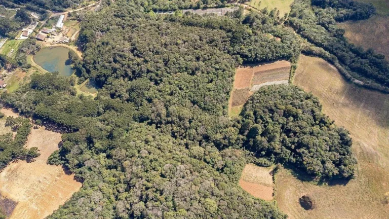 Imagem Chácara no Ferraria - Passaúna