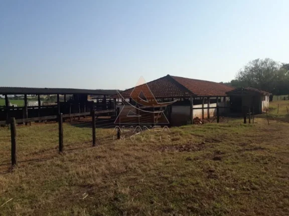Imagem Fazenda - Cajuru - Zona Rural