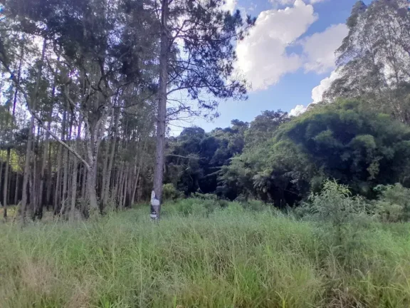 Imagem Lote à venda em Barbacena, Colônia Rodrigo Silva, 2500m2