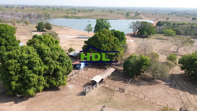 Imagem Fazenda de OPORTUNIDADE Dupla Aptidão em Peixe do Tocantins