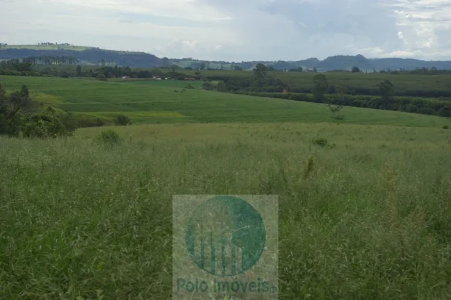 Imagem Fazenda em Cajuru 72 alqueires com soja, gado, braquiária e estrutura, 75 km de Ribeirão Preto - SP