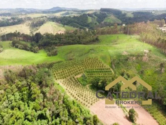Imagem SÍTIO À VENDA, 47729 M² POR R$ 1.700.000,00 - CHAMPIRRA - JUNDIAÍ/SP