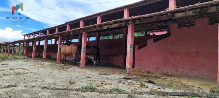 Imagem Fazenda região de Sorocaba SP