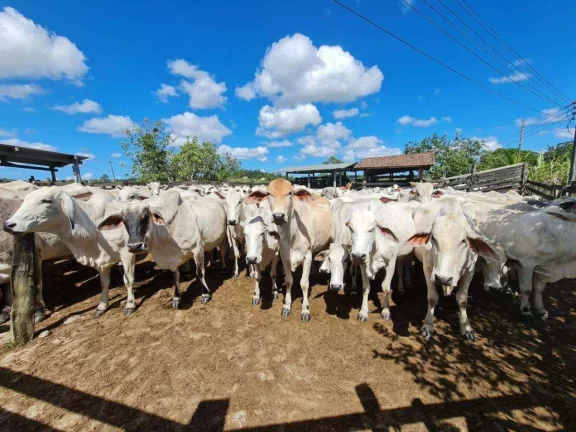 Fazenda à Venda, 251 m²