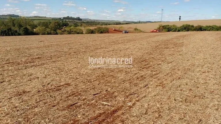 Imagem Chácara à venda 3000M², Centro, Cornélio Procópio - PR