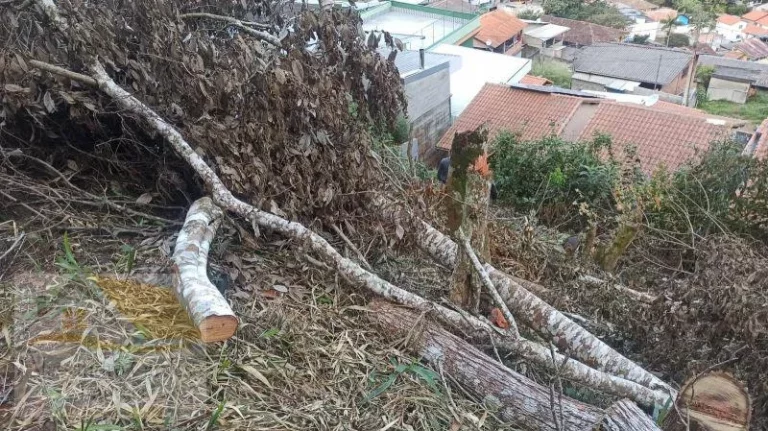 Imagem Vendo Terreno com 7800 mts² em Varginha