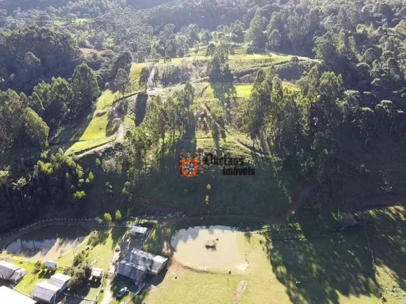 Imagem Sítio à venda, 200000 m² por R$ 2.500.000 - Rio do Engano - Urubici/SC