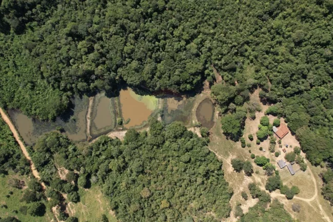Fazenda à Venda, 82.000 m² em Centro - Acorizal