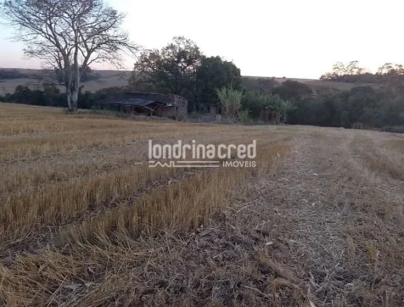 Imagem Vendo Terreno de 40.000m² Próximo a Ibiporã – Ótimo para Investimento, Loteamento, Agricultura ou Chácaras! Duas Escrituras! Agende uma Visita!