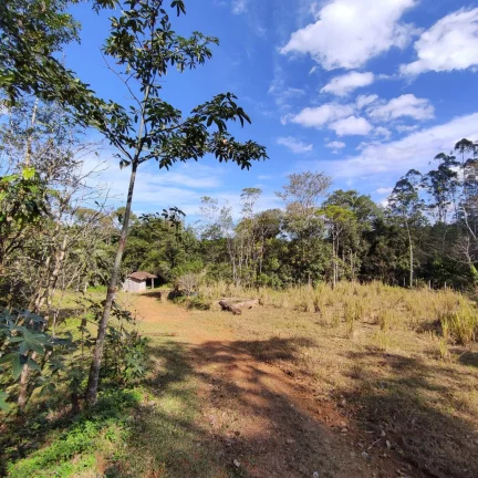 Imagem Terreno Rural à venda em Joinville, bairro Pirabeiraba
