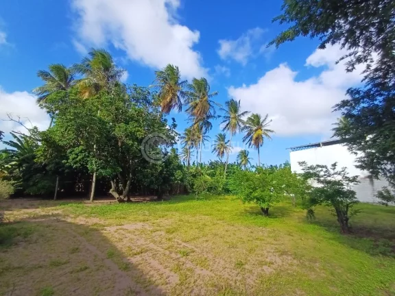 Imagem ÁREA COMERCIAL NA TOMAZ LANDIM