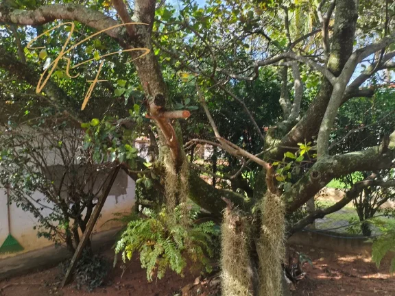 Imagem CHACARA RESIDENCIAL em VALINHOS - SP, CHÁCARAS SÃO BENTO