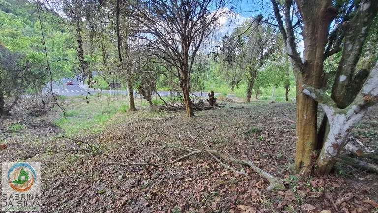 Imagem Lote/Terreno - Badenfurt - Blumenau