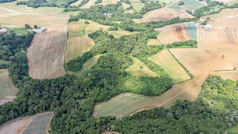 Imagem Chácara com 6 alqueires em Campo Magro