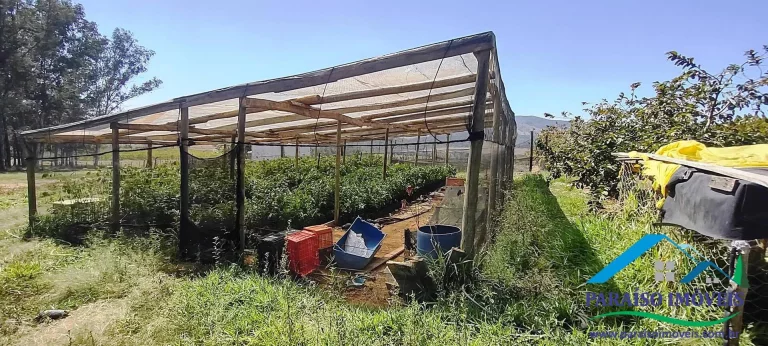 Imagem Propriedade Rural de Alto Padrão: Pronta para Produção e Investimento!