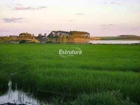 Imagem Ótima área rural com 145 hectares